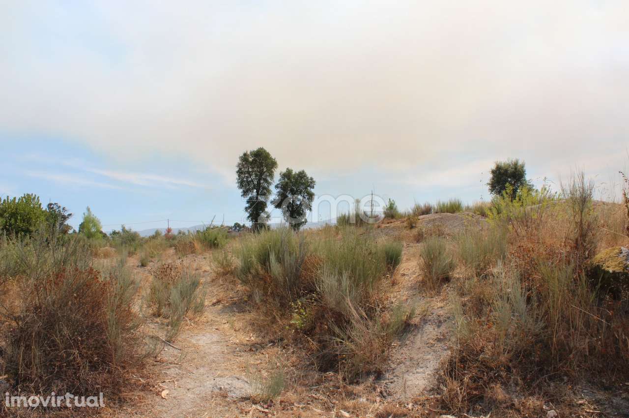Terreno Rústico em Paranhos da Beira, Seia - Grande imagem: 3/10