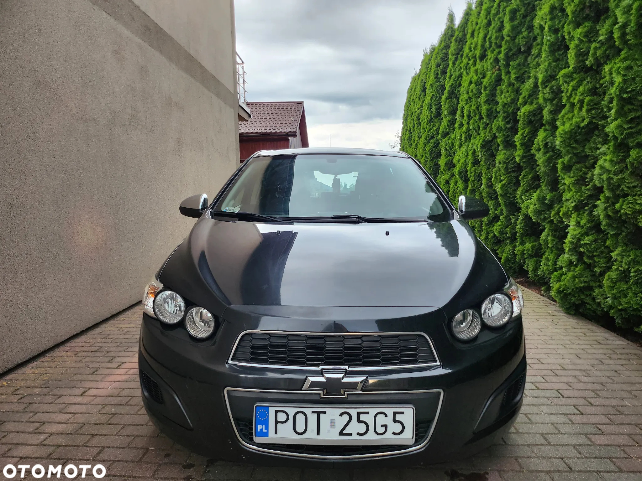 Chevrolet Aveo - 2