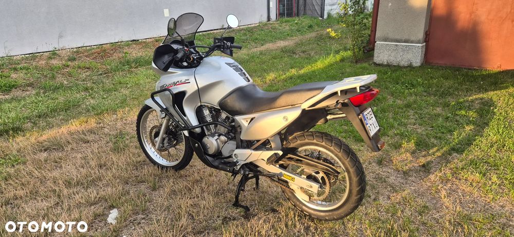 Honda Transalp - 4