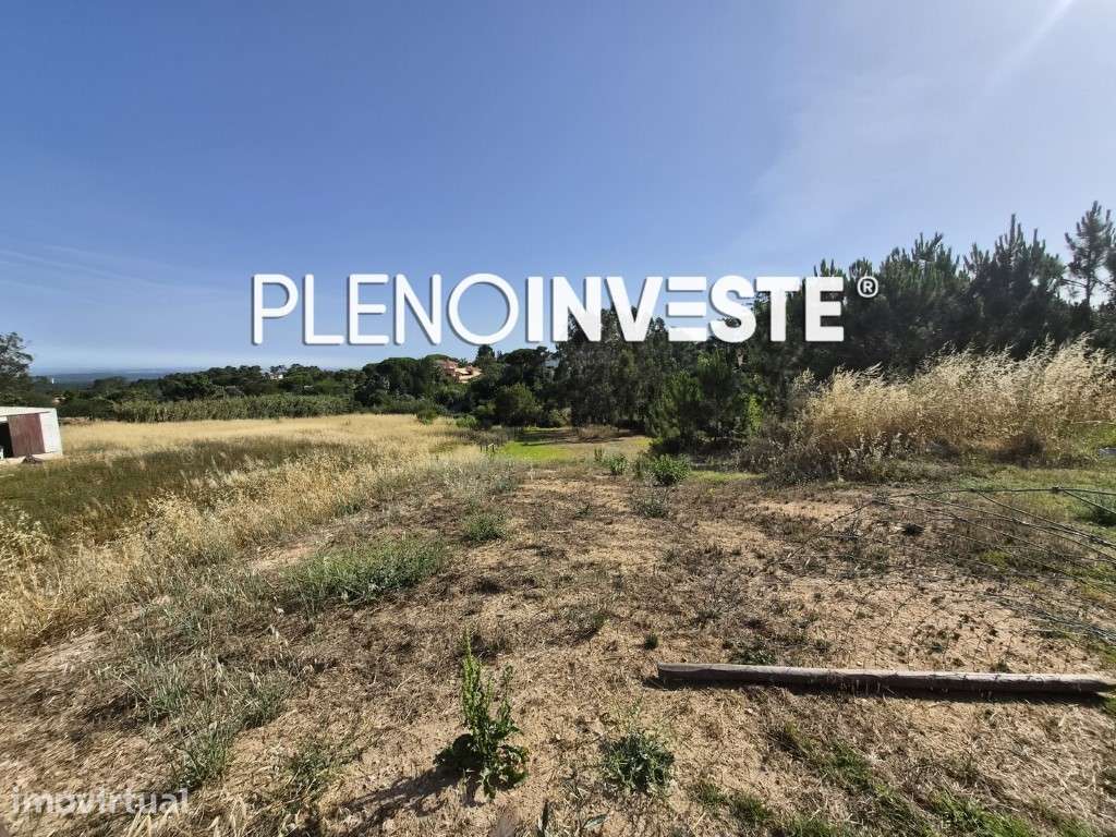 Terreno Urbano com Projeto Aprovado de 3.300 m² no Zambujal - Grande imagem: 3/5
