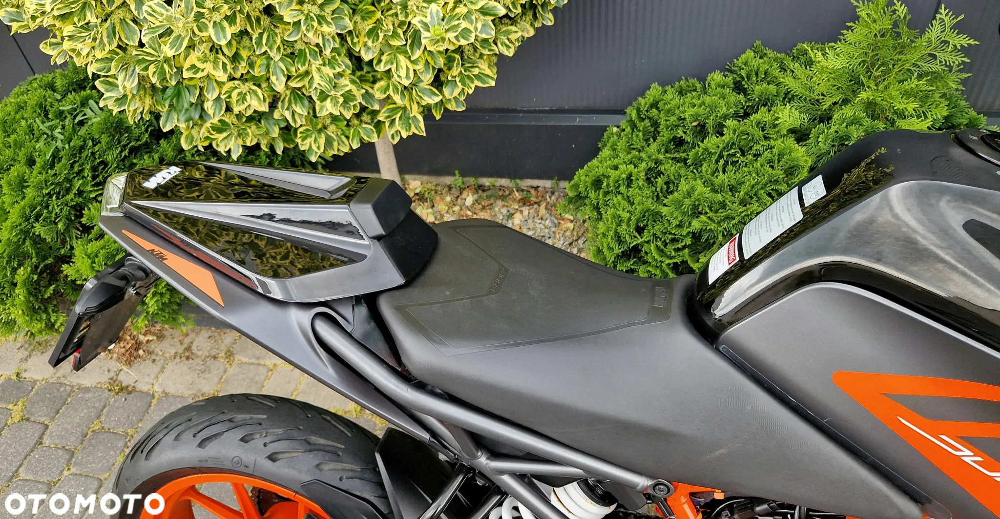KTM Duke - 21