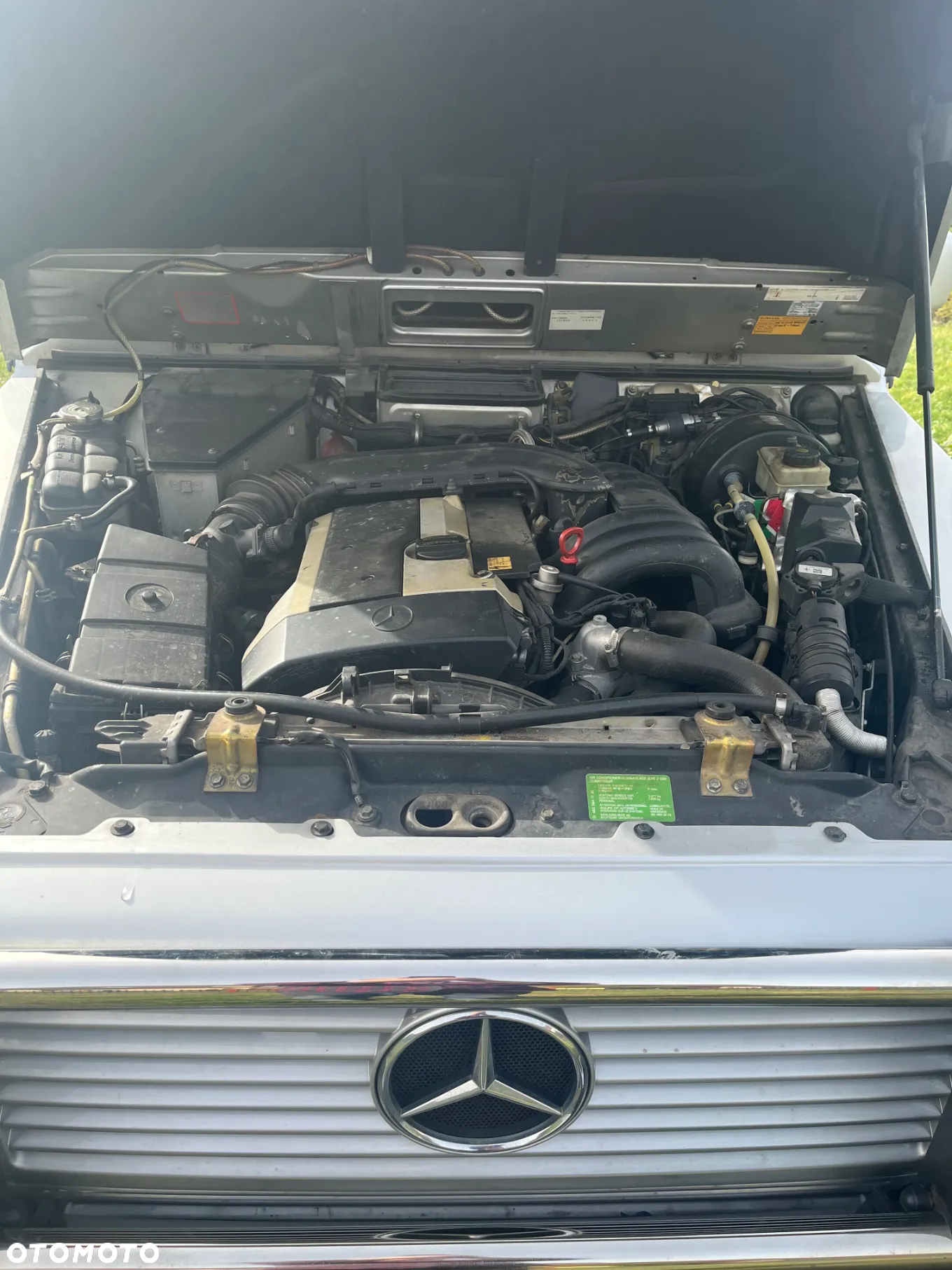 Mercedes-Benz Klasa G 320 - 16