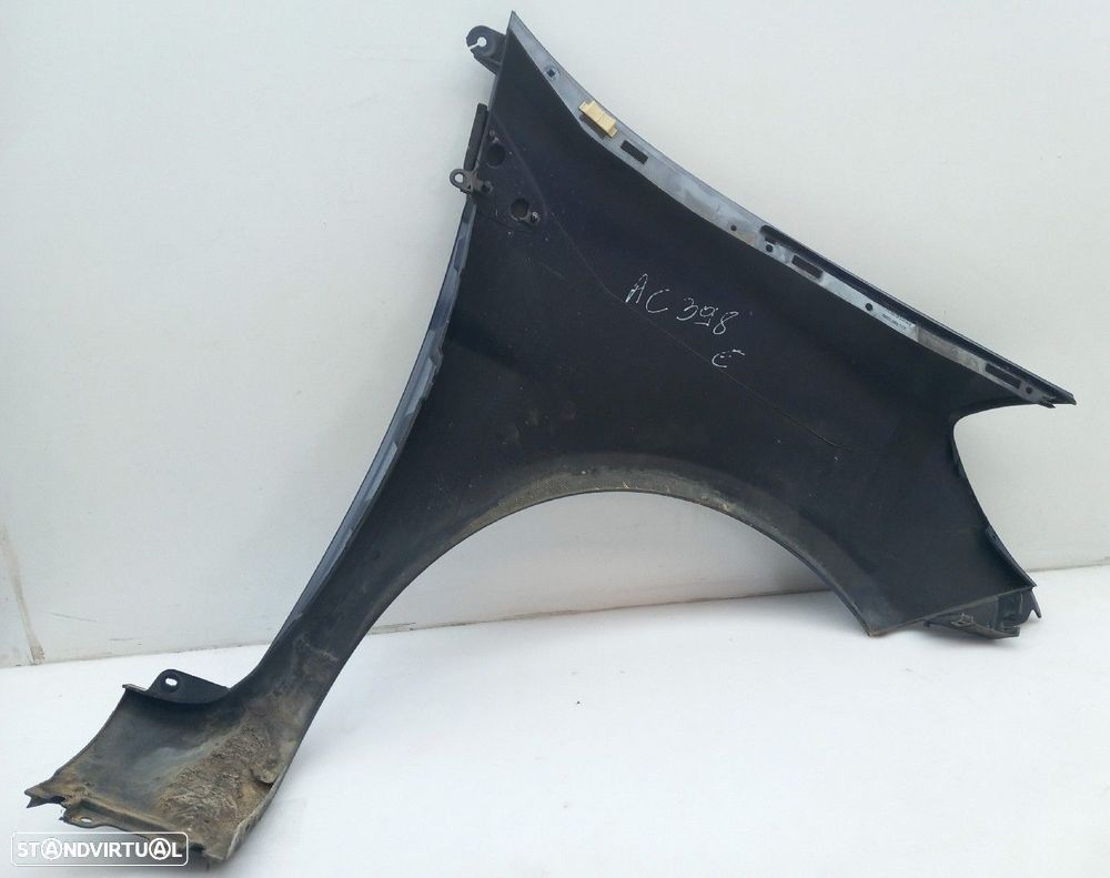 Guarda-lamas esquerdo RENAULT Clio III (BR0/1, CR0/1) - 3