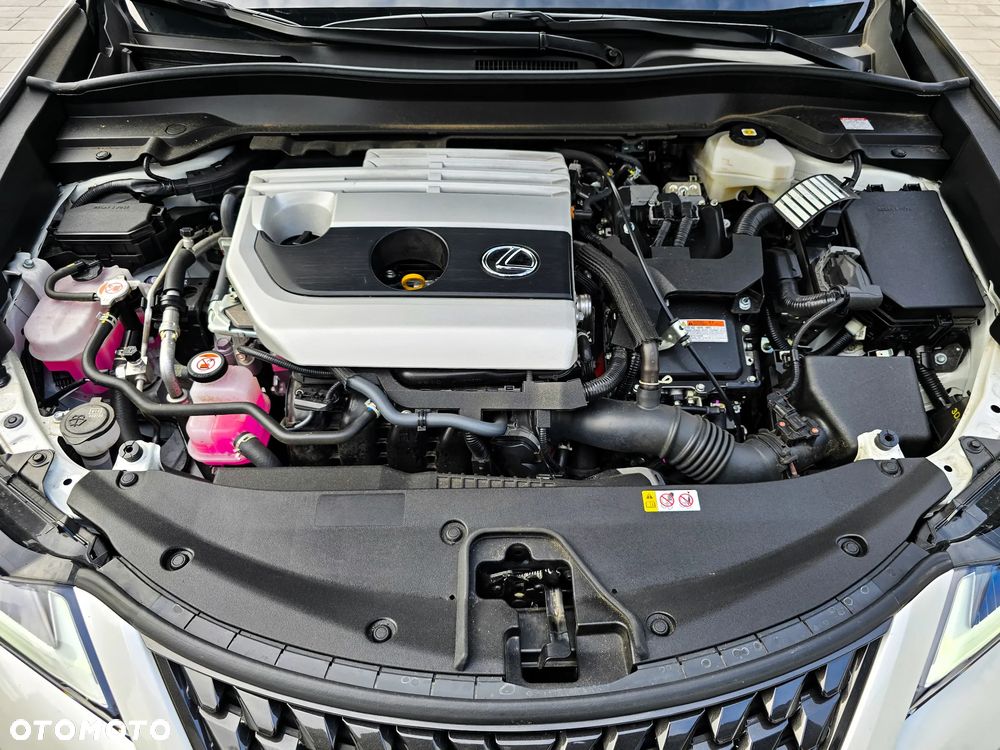 Lexus UX 250h GPF Business 2WD - 16
