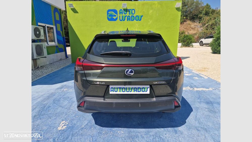 Lexus UX 250h Executive - 5