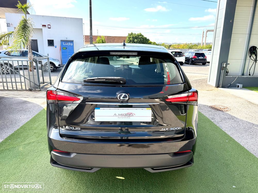Lexus NX 300h Executive Plus - 8