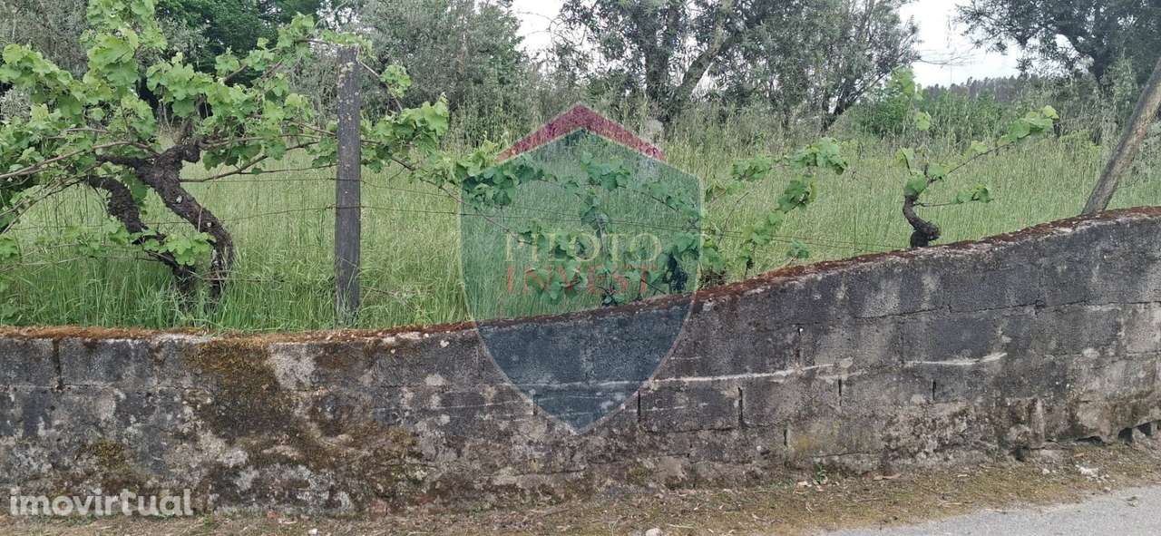 Terreno Para Construção  Venda em Santos Evos,Viseu - Grande imagem: 4/6