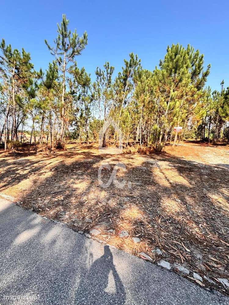 VIEIRA DE LEIRIA---Terreno com a área de 1677 m2, inserido no aglomera - Grande imagem: 2/10
