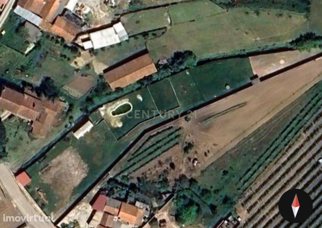 Terreno Urbano em Alcobaça - Localização Privilegiada - Grande imagem: 5/8