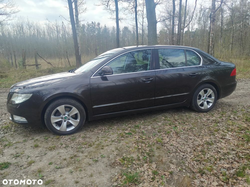Skoda Superb - 11