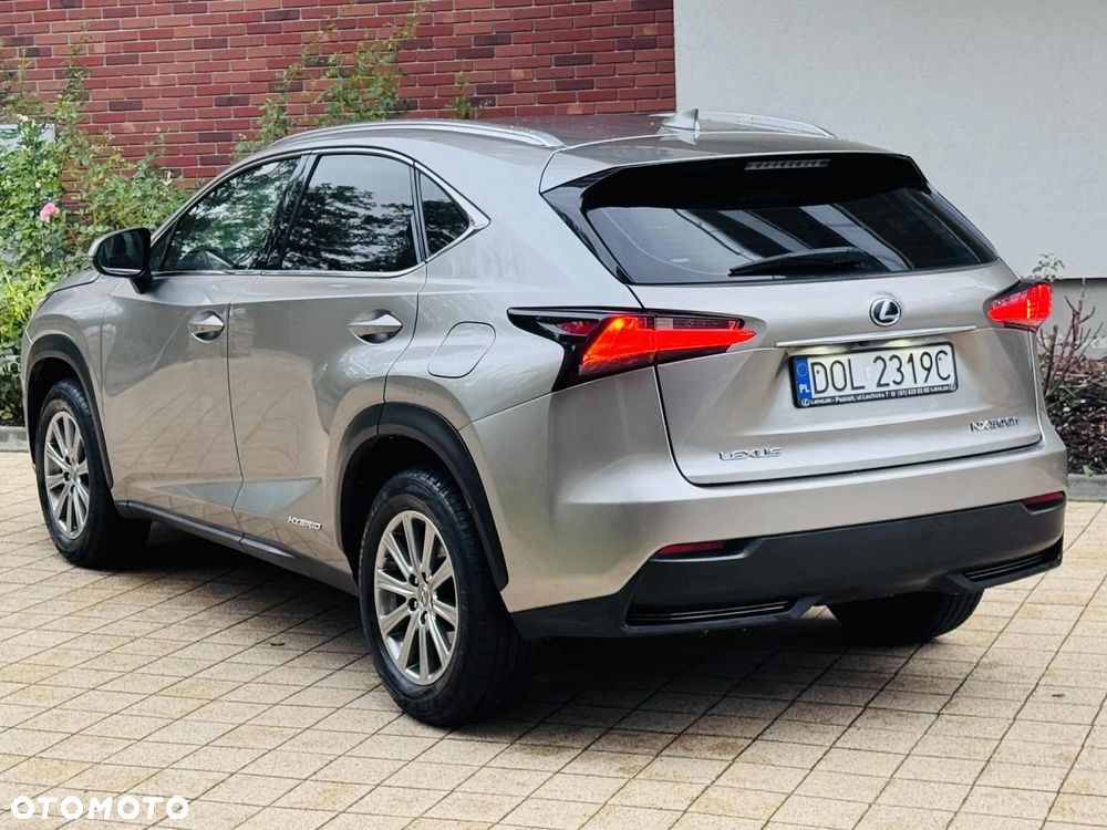 Lexus NX 300h Elite 2WD - 7