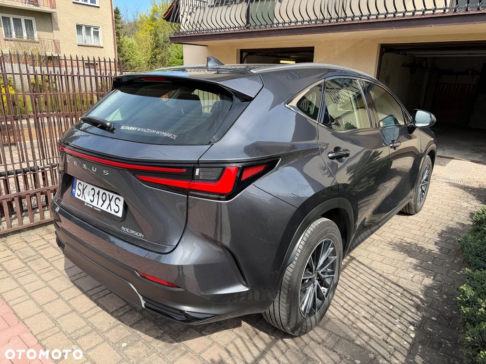 Lexus NX - 11