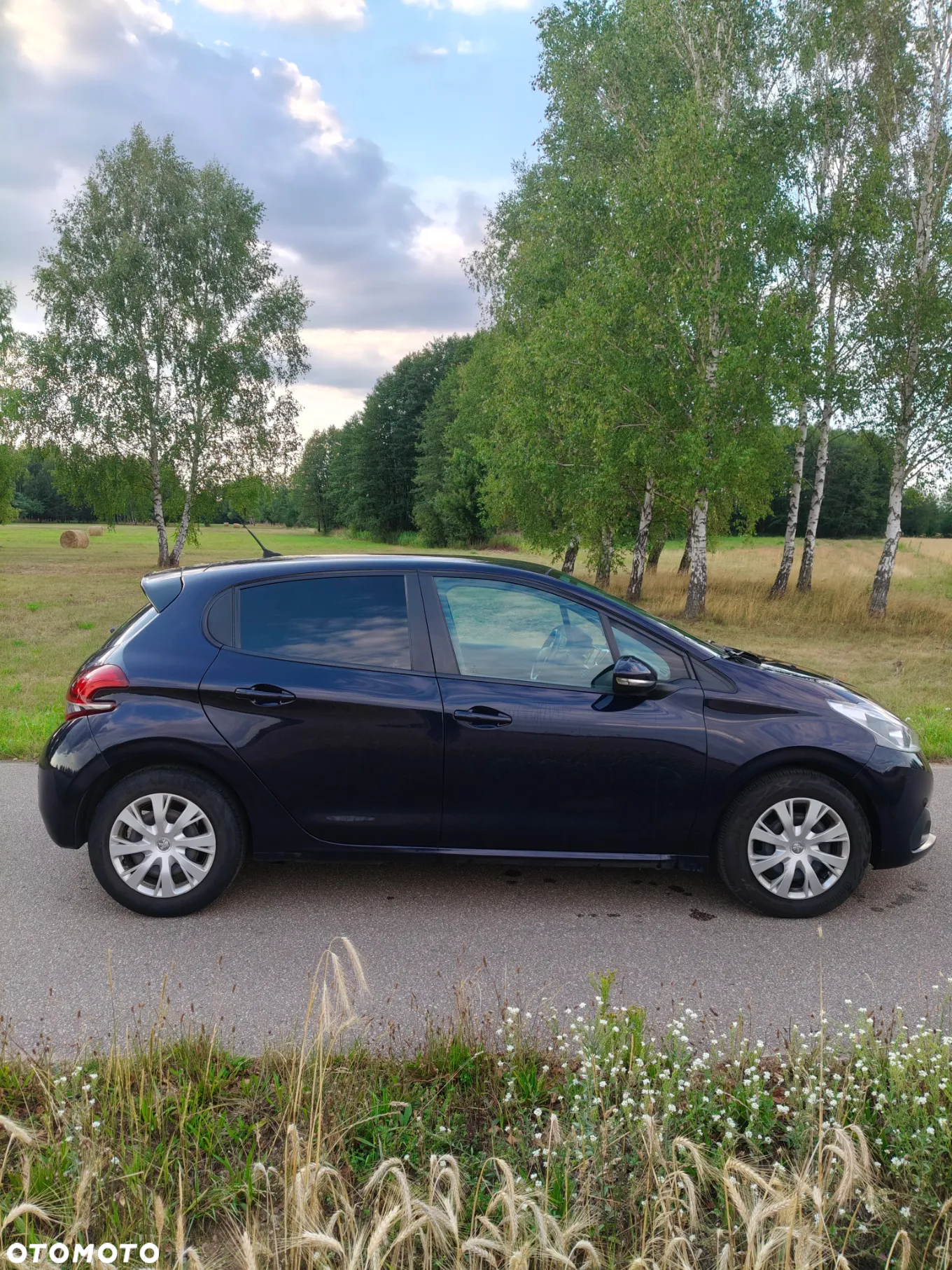 Peugeot 208 Blue-HDi 100 Stop&Start Active - 7