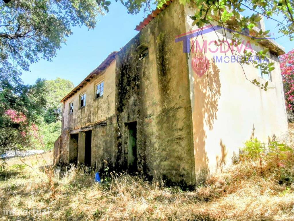 Moradia T2 com terreno a confrontar com ribeira em Figueiró dos Vinhos - Grande imagem: 2/18