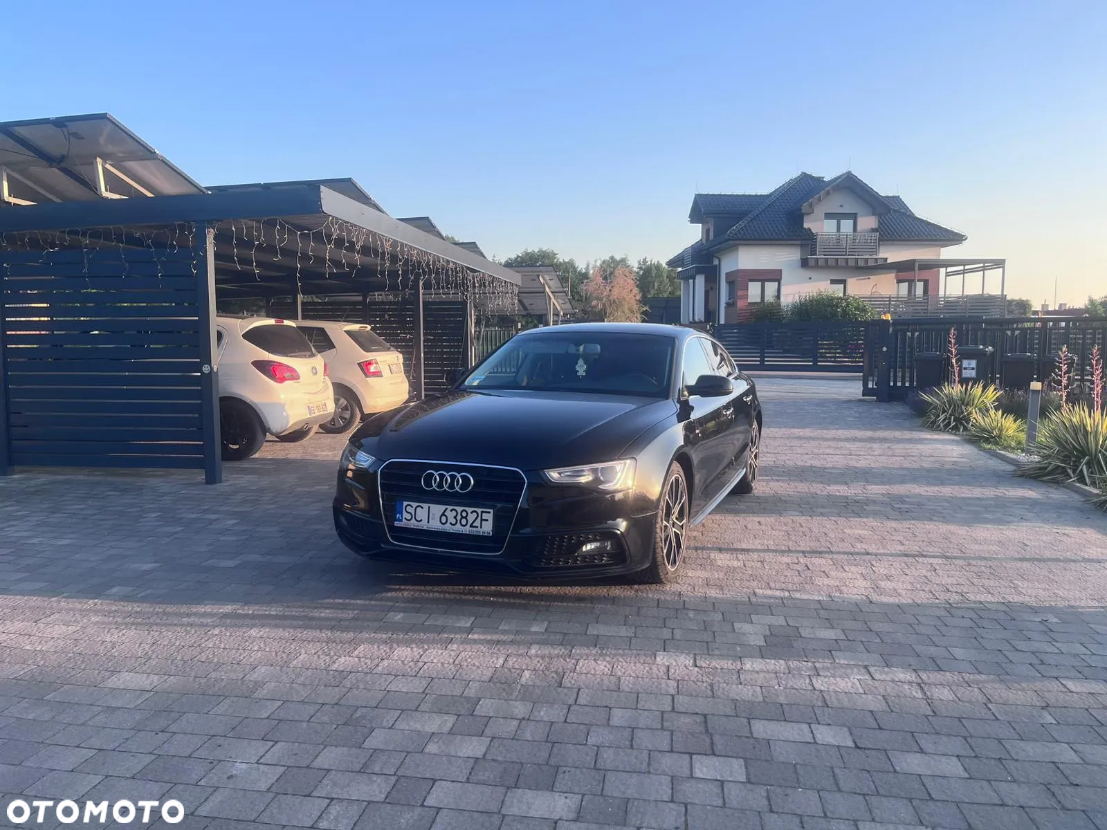 Audi A5 2.0 TDI Sportback (clean diesel) DPF multitronic - 13