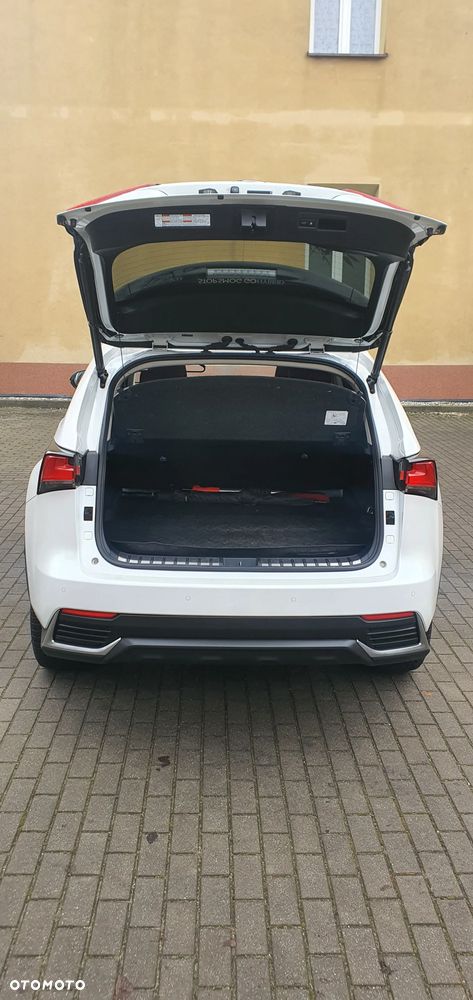 Lexus NX 300h Elegance + Business AWD - 10