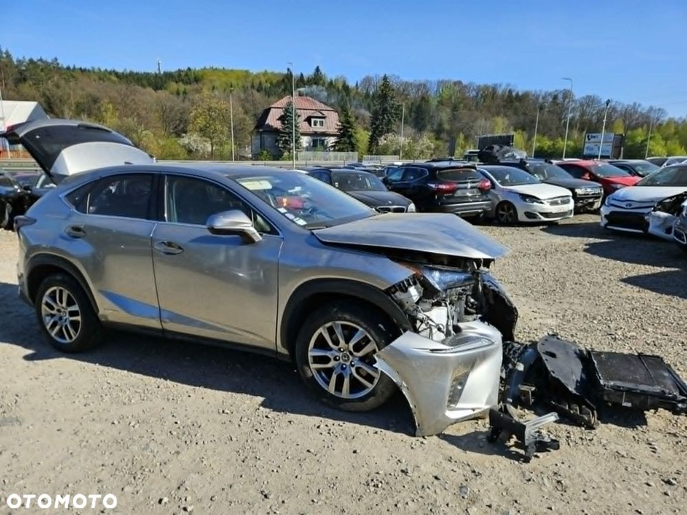Lexus NX 300h - 10