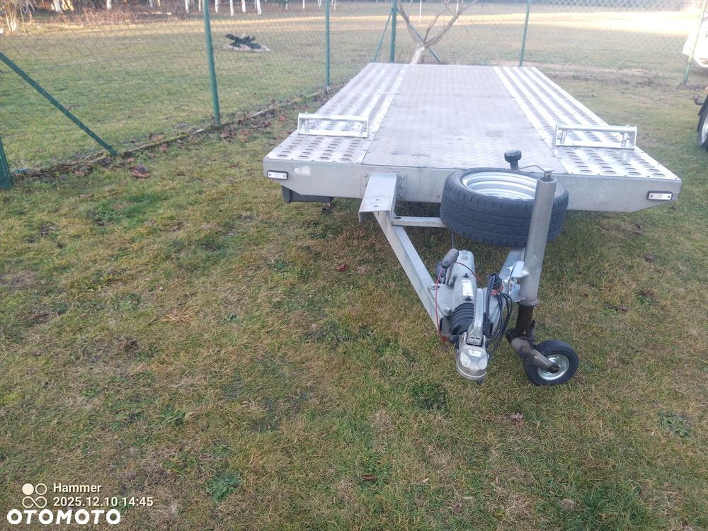 Niewiadów BORO MARS - 6