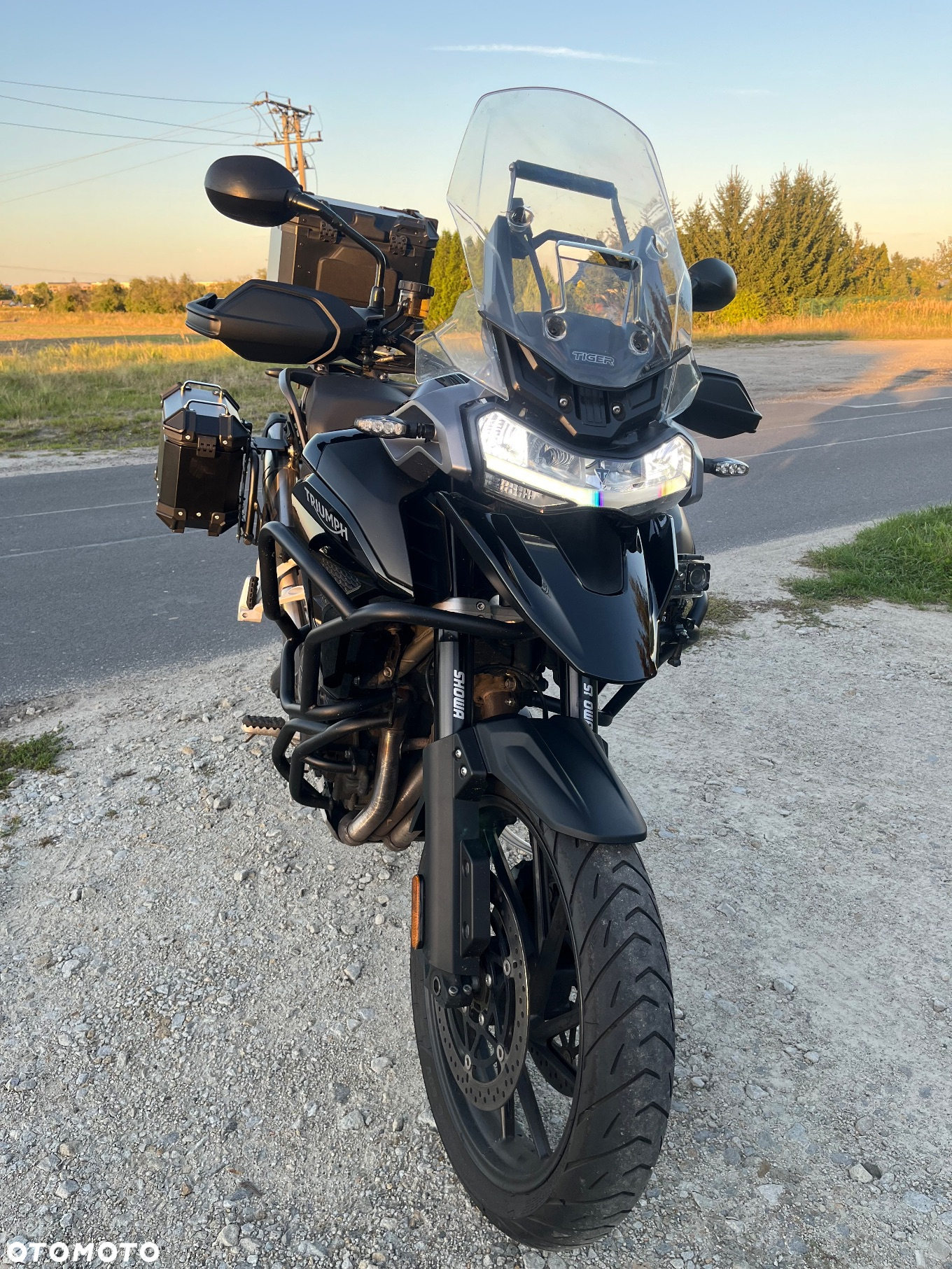 Triumph Tiger - 2