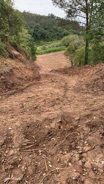 Terreno Agrícola com 9260 m2 - Grande imagem: 3/3