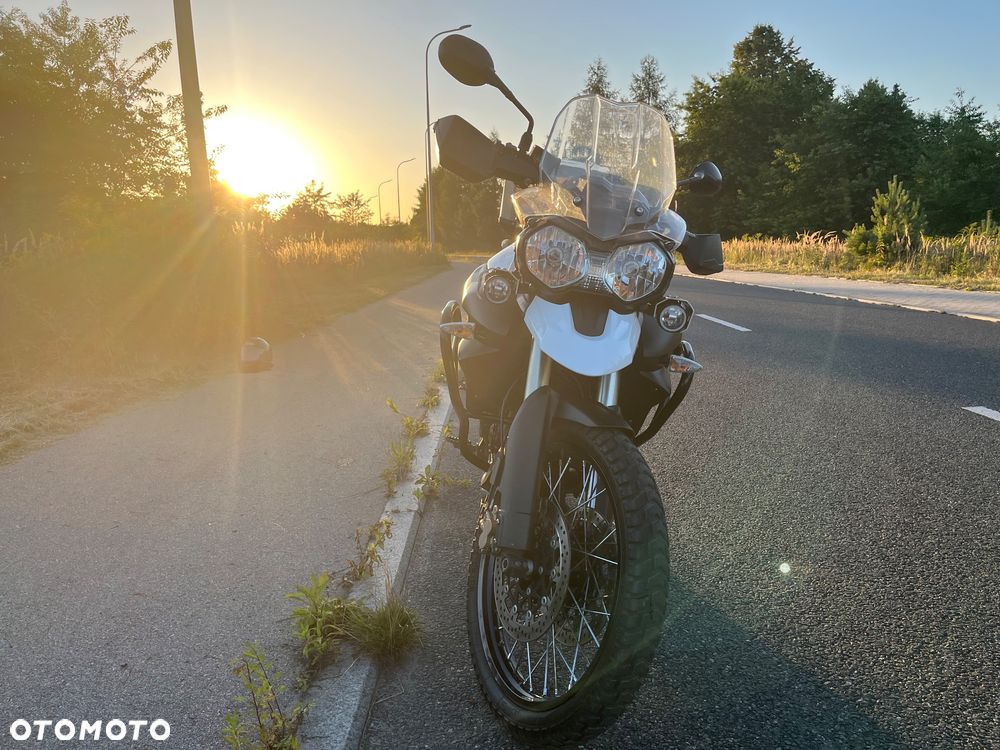 Triumph Tiger - 8
