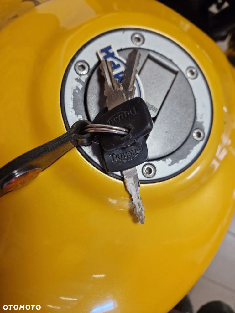 Triumph Tiger - 10