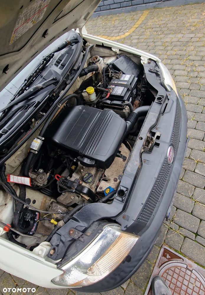 Fiat Panda - 12