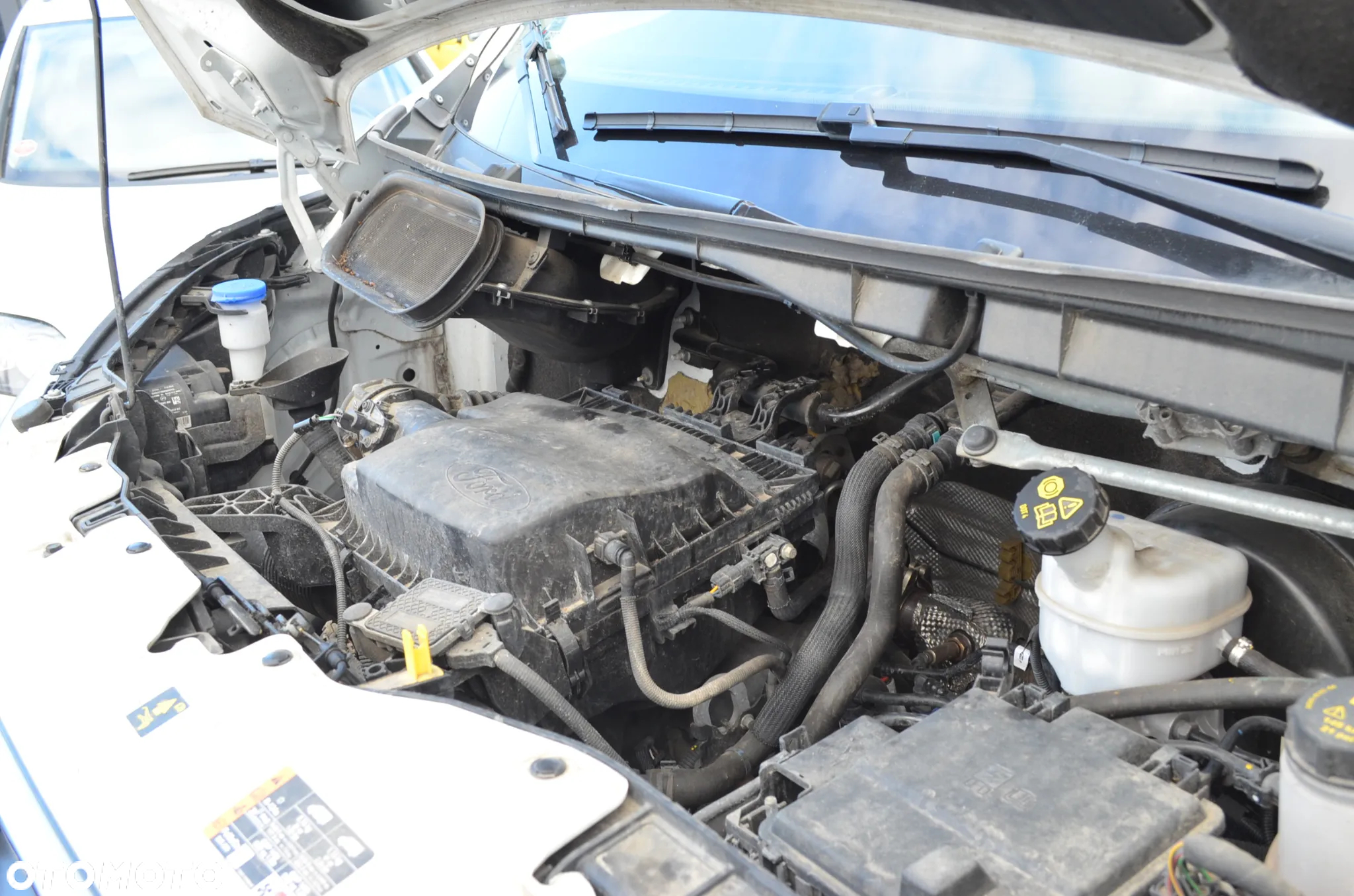 Ford Transit - 15