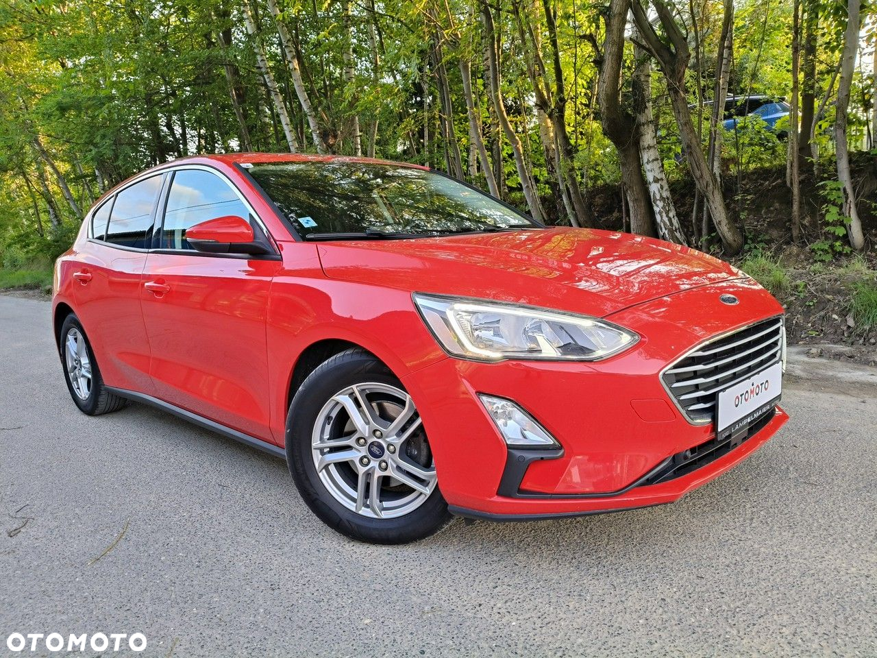 Ford Focus - 23
