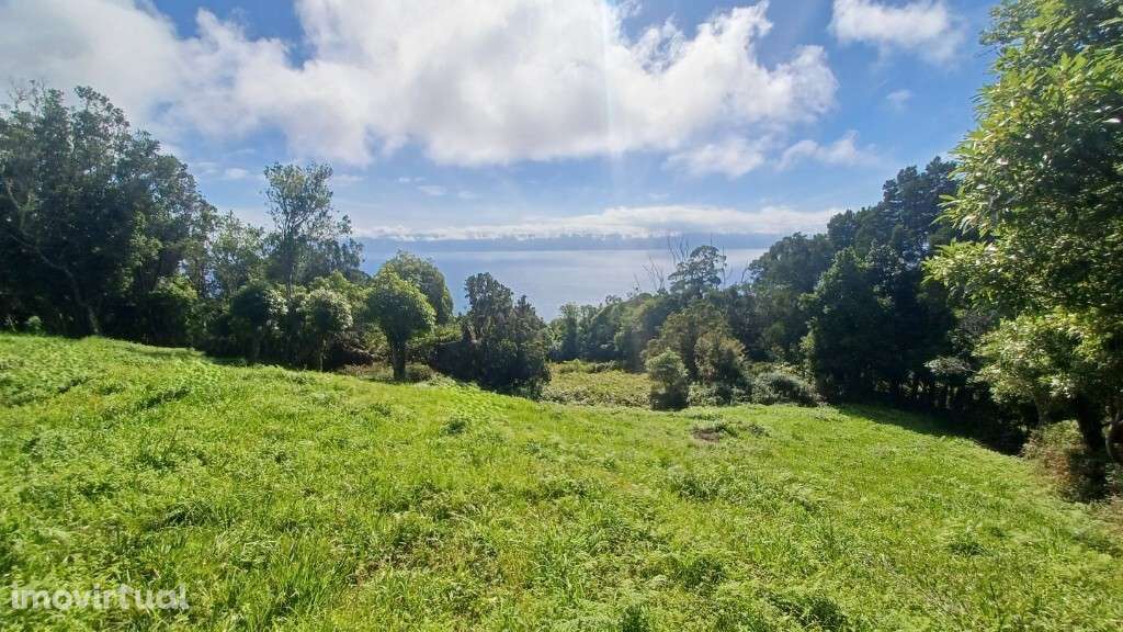 Venda Terreno - Grande imagem: 4/15