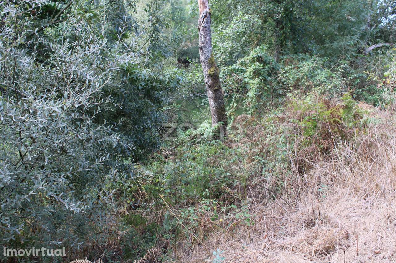 Um espaço de lazer ao lado do Rio - Grande imagem: 4/28