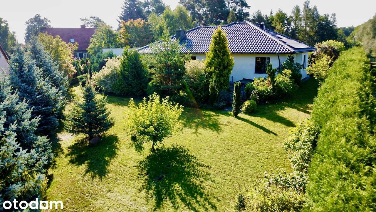 Dom wolnostojący + niezależny domek 40m idealny pod biznes lub wynajem - Pełny obrazek: 3/19