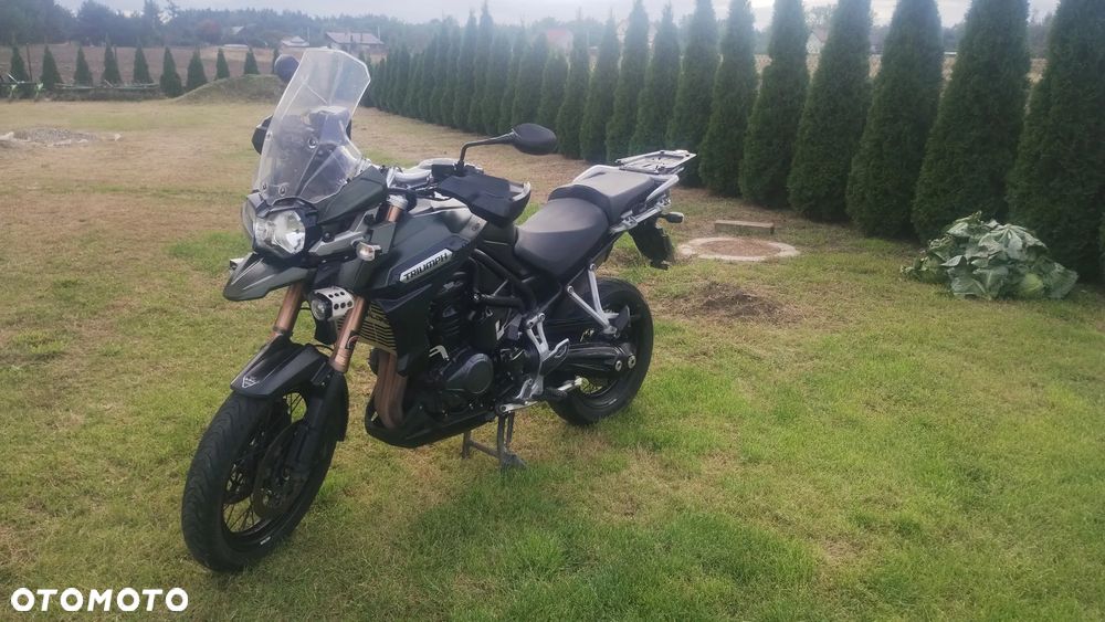 Triumph Tiger - 6