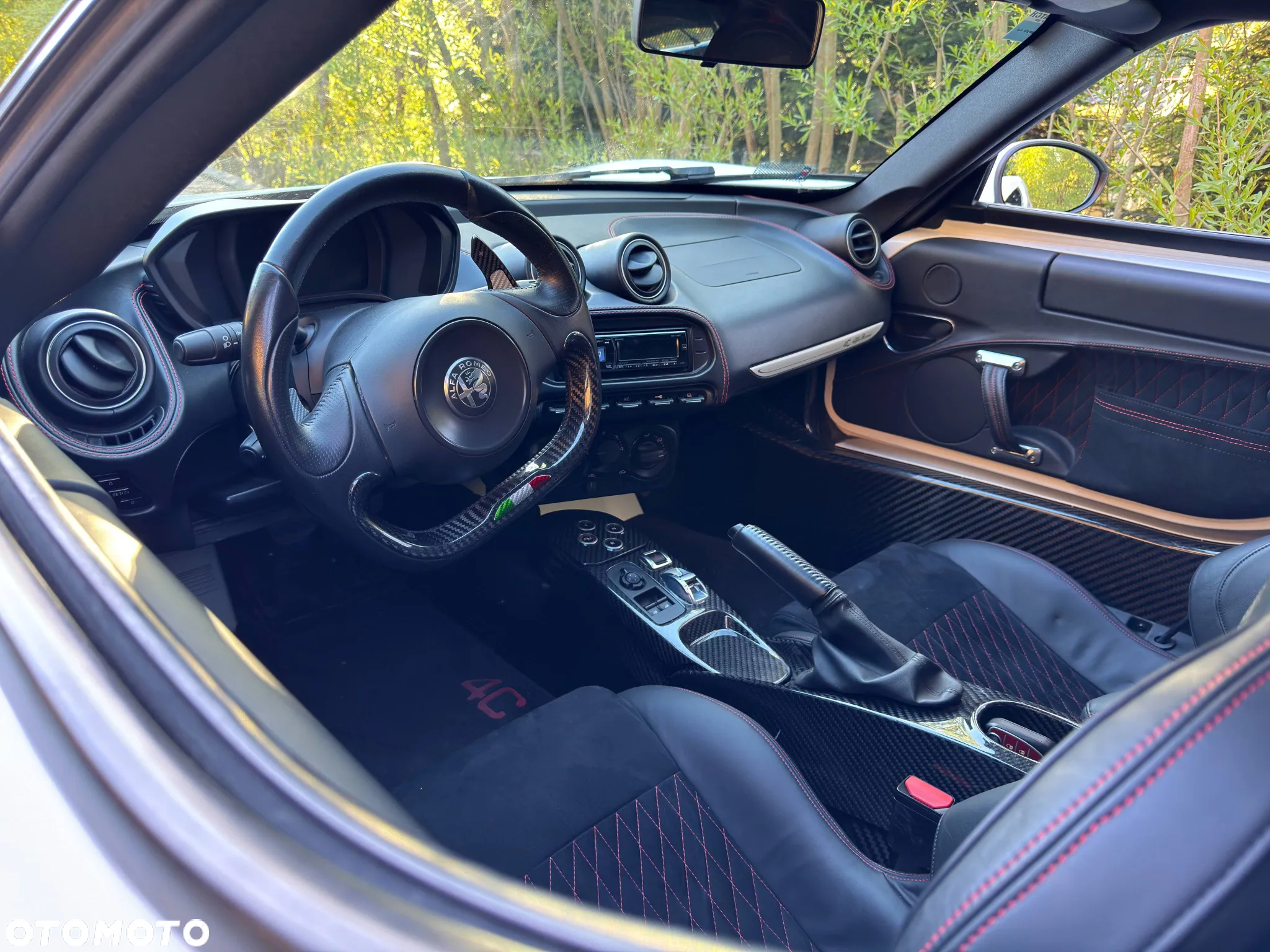 Alfa Romeo 4C 1750 TBi TCT - 16