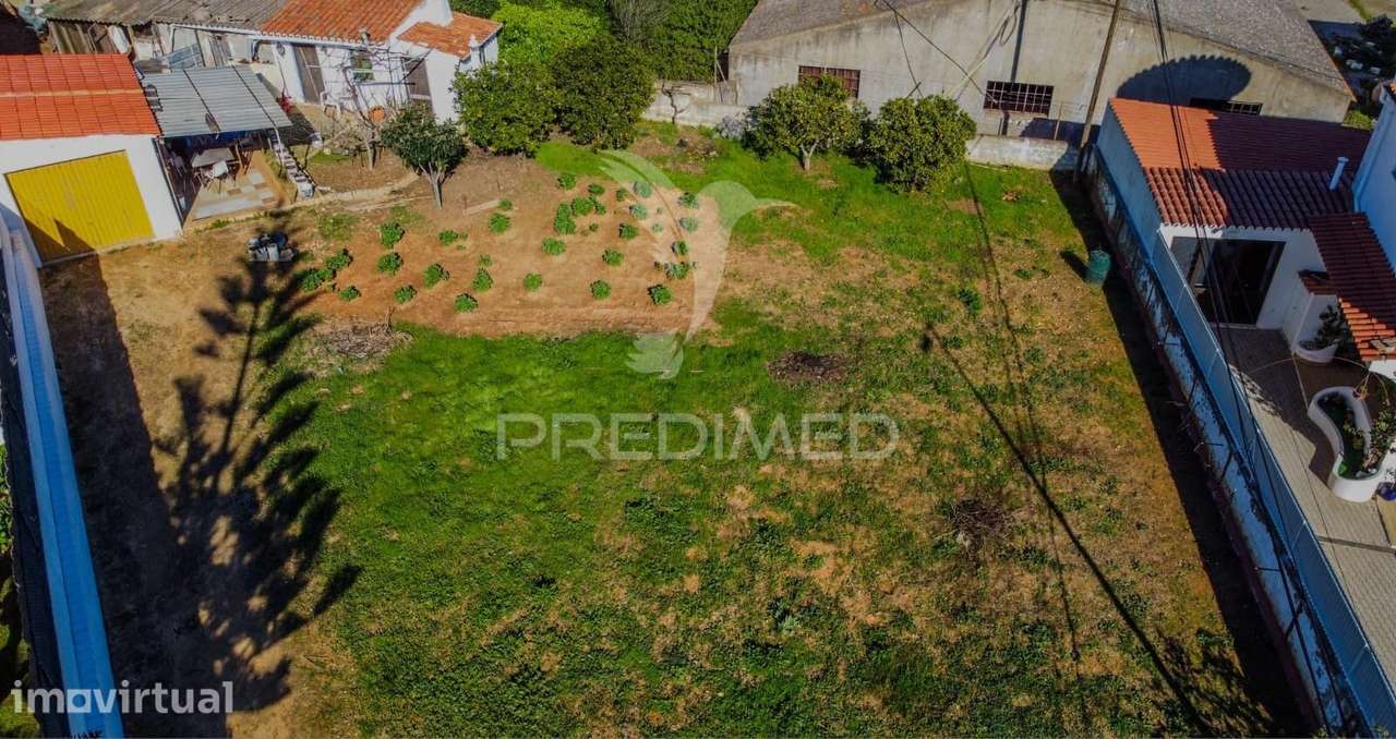 Lote Urbano no Centro da Cidade de Lagoa – Última Oportunidade - Grande imagem: 5/15