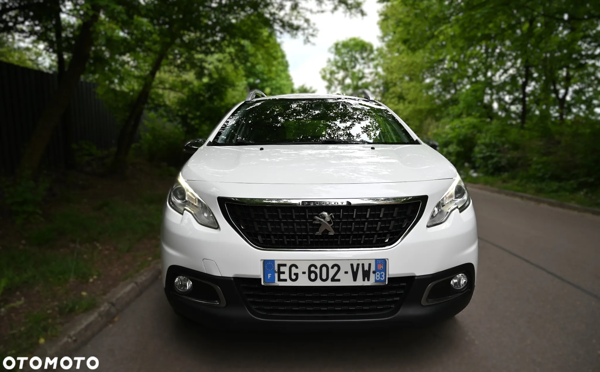 Peugeot 2008 1.6 BlueHDi Active - 2