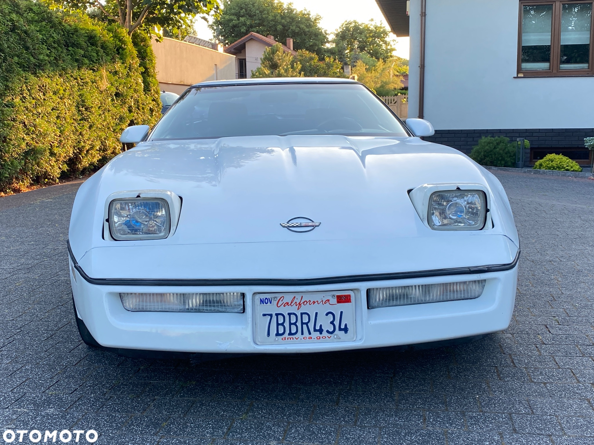 Chevrolet Corvette - 27
