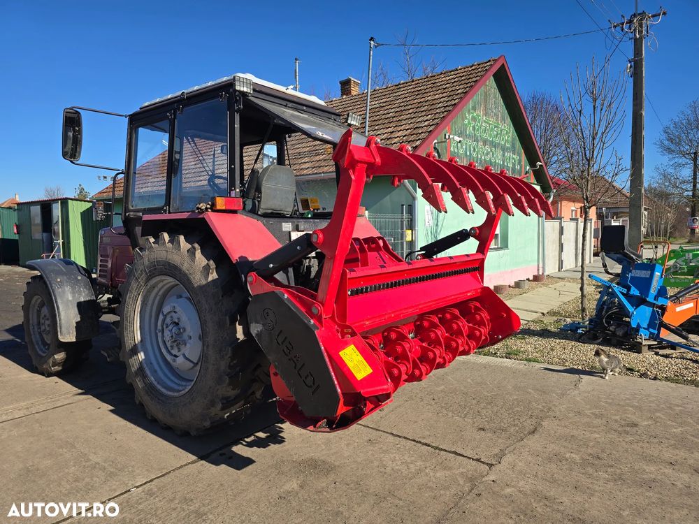 Ubaldi Alpine Forest 2M - 5