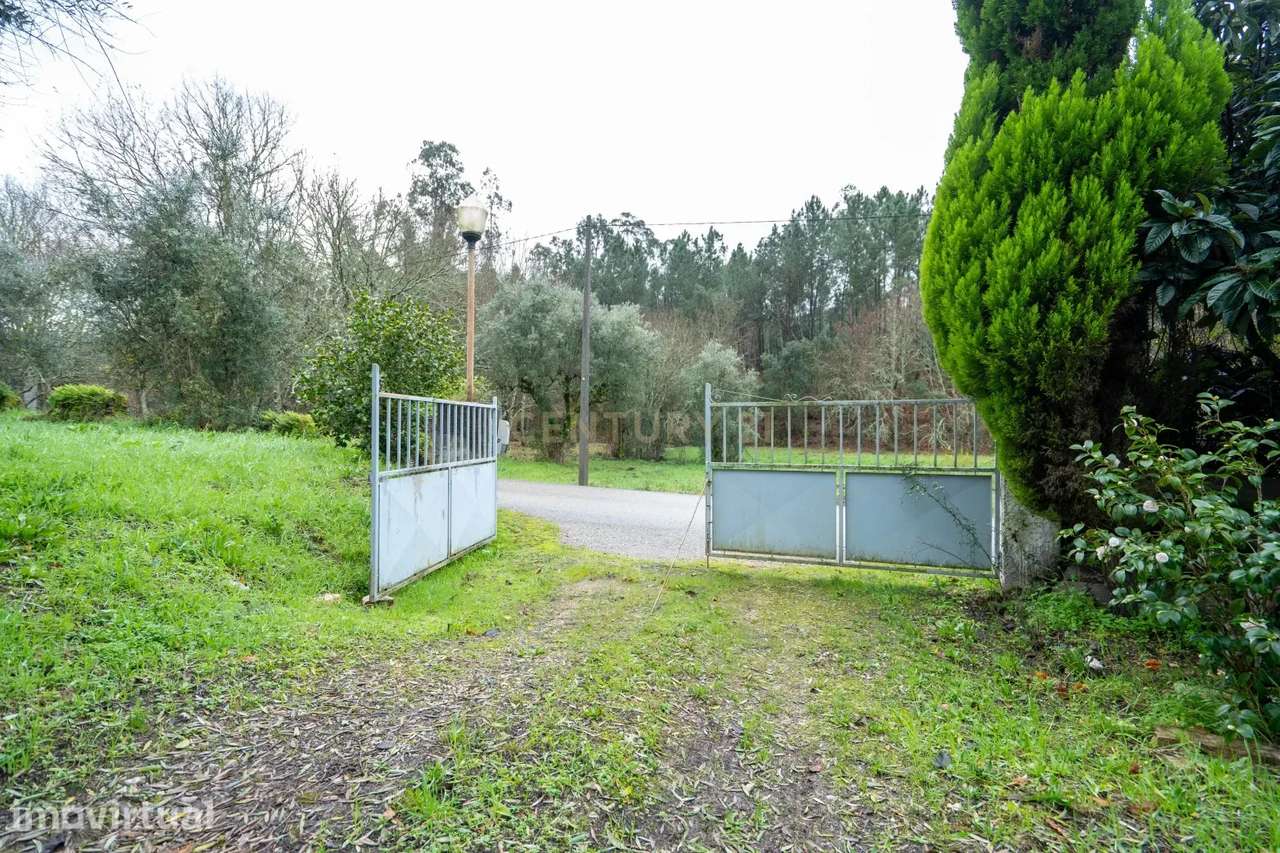 Quinta T5 em Poiares, Vila Nova de Poiares - Oportunidade Única - Grande imagem: 3/60
