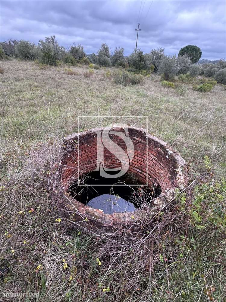 Terreno  Venda em Paialvo,Tomar - Grande imagem: 2/4