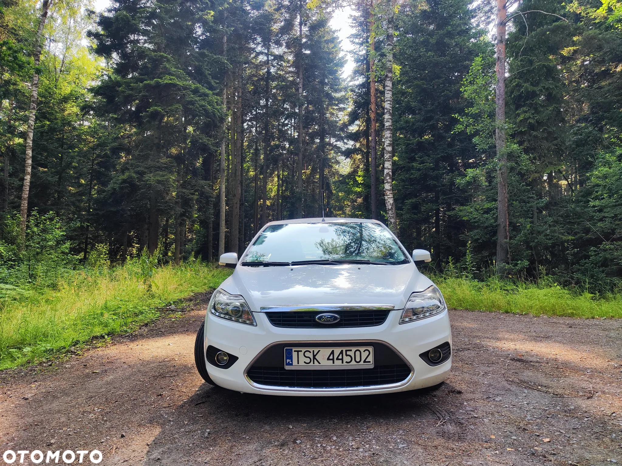 Ford Focus - 3
