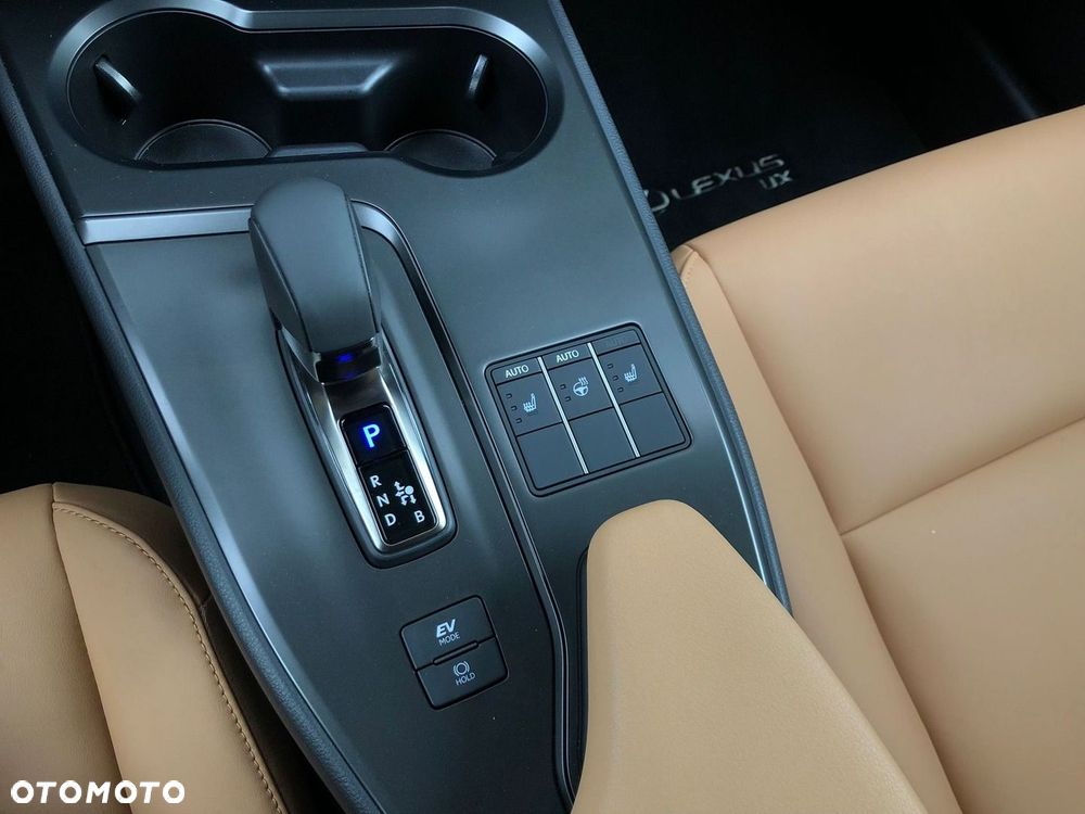 Lexus UX 300h F Sport Design - 27