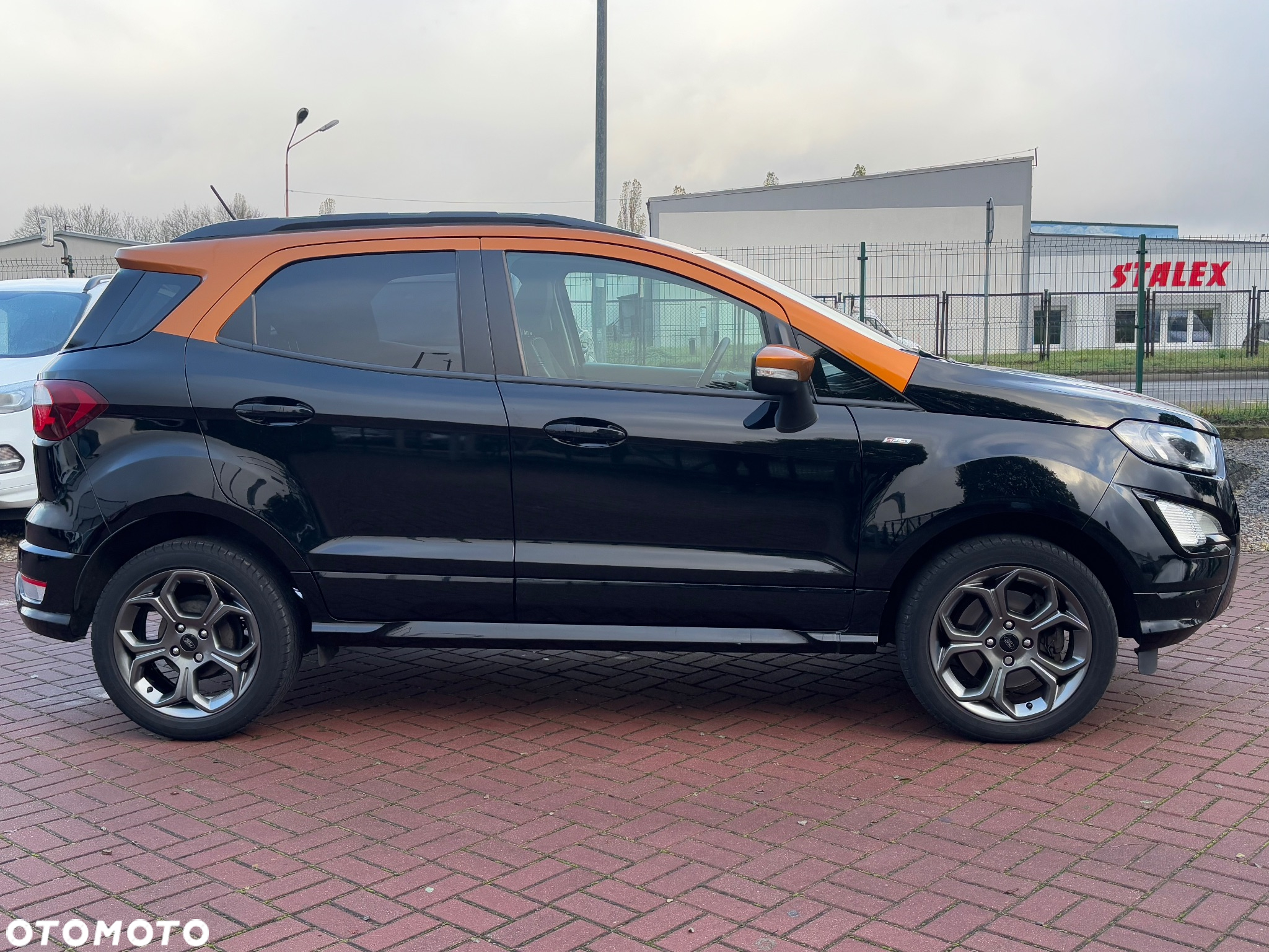 Ford EcoSport 1.0 EcoBoost GPF ST-Line ASS - 11