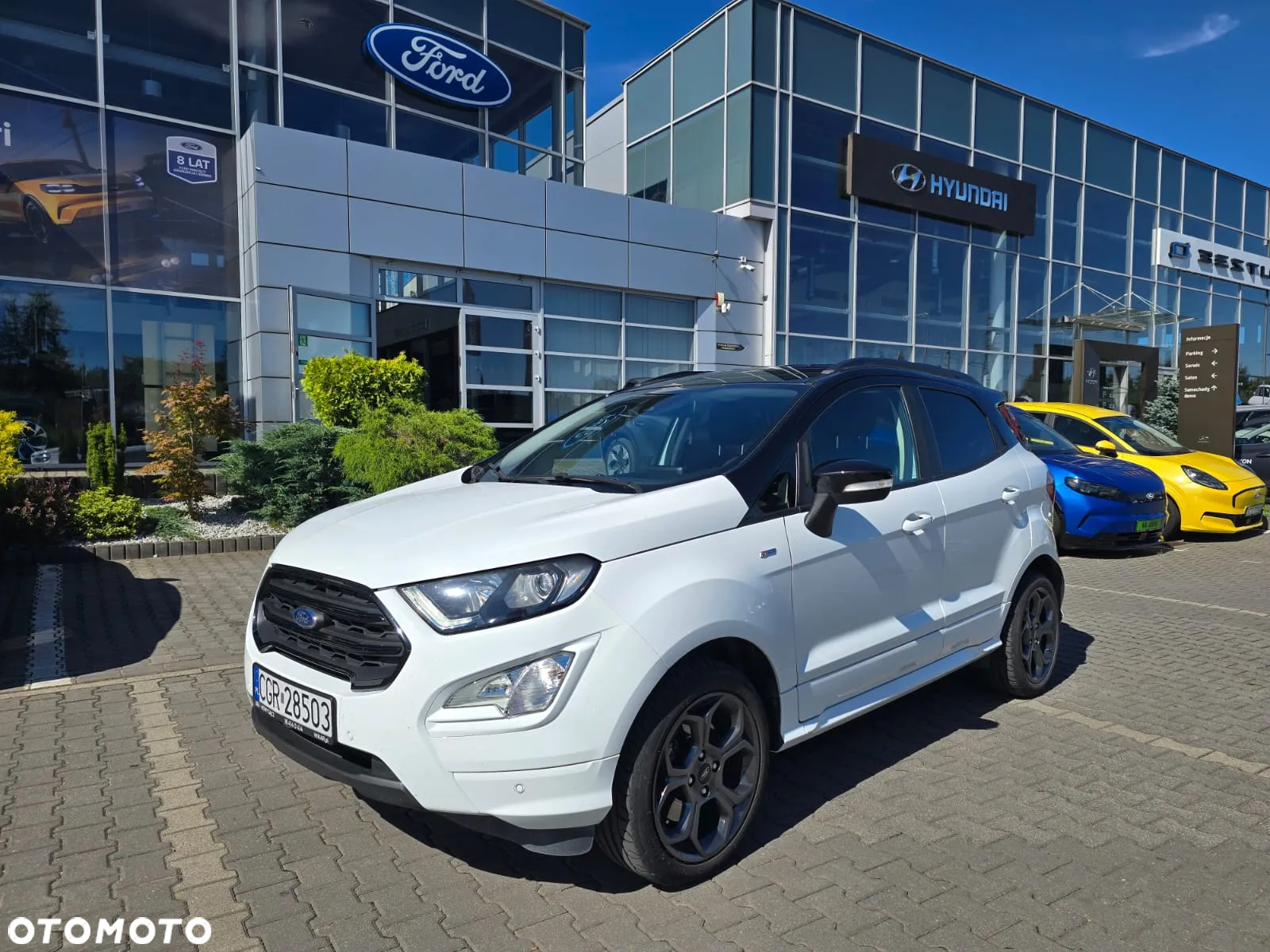 Ford EcoSport 1.0 EcoBoost ST-Line ASS - 2