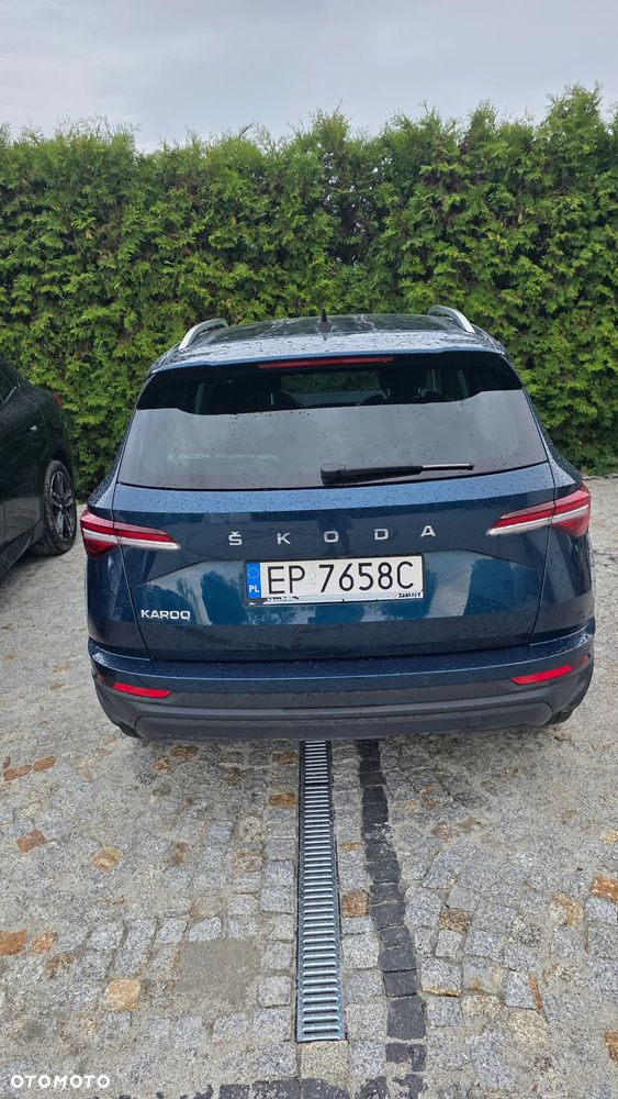 Skoda Karoq - 7