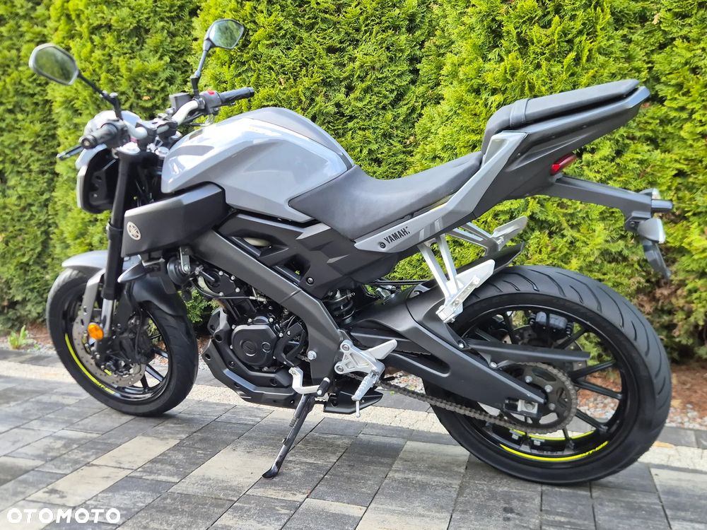 Yamaha MT - 6