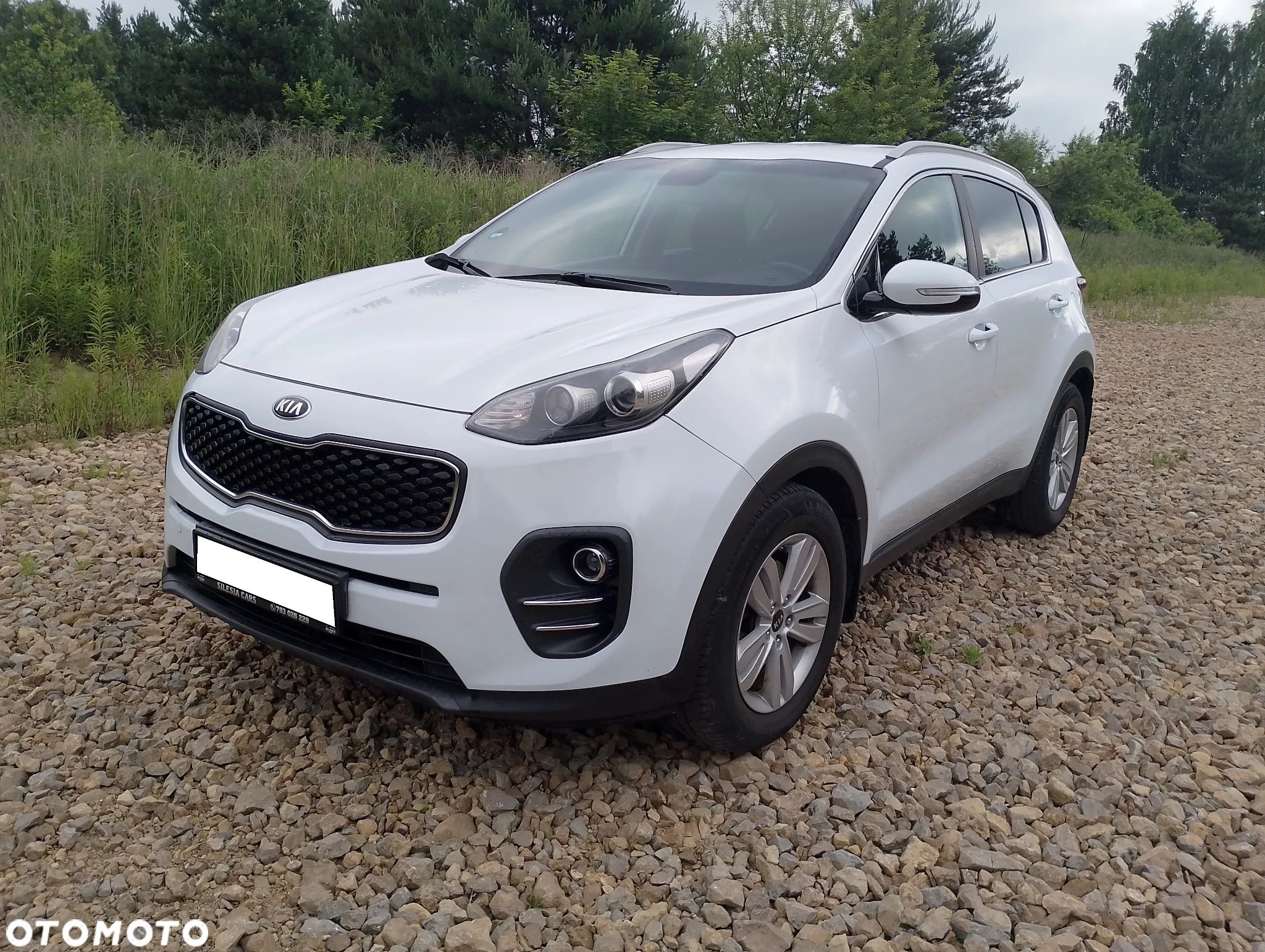 Kia Sportage - 1