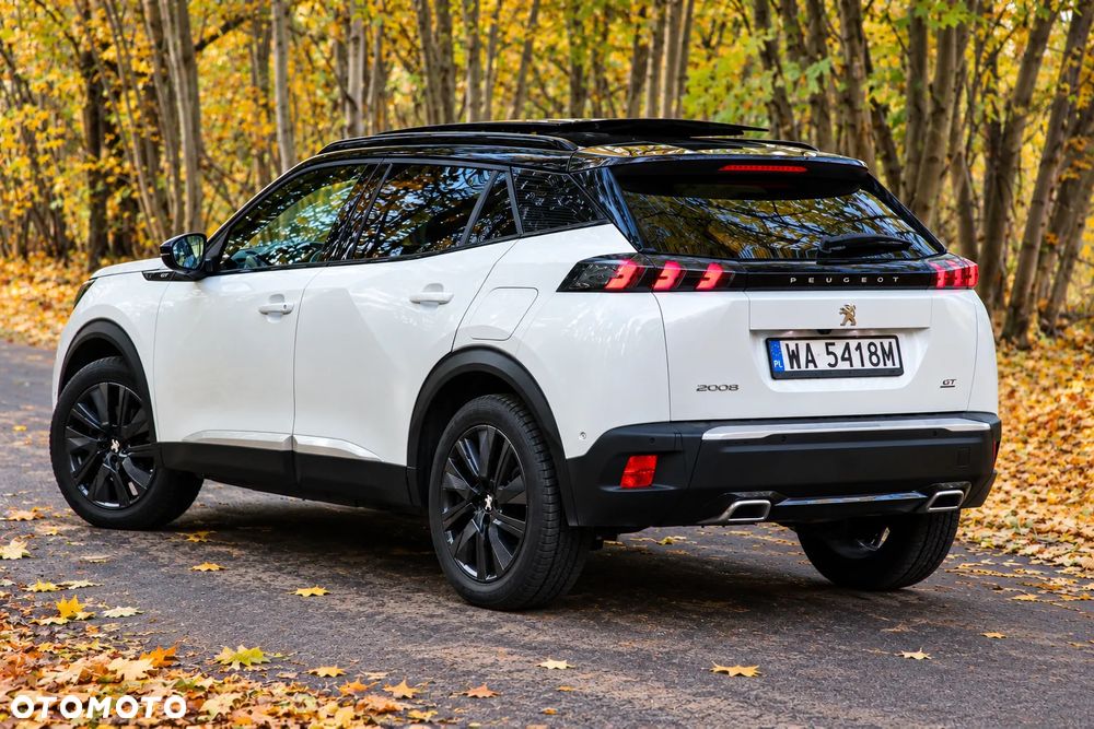 Peugeot 2008 2019 photo 5