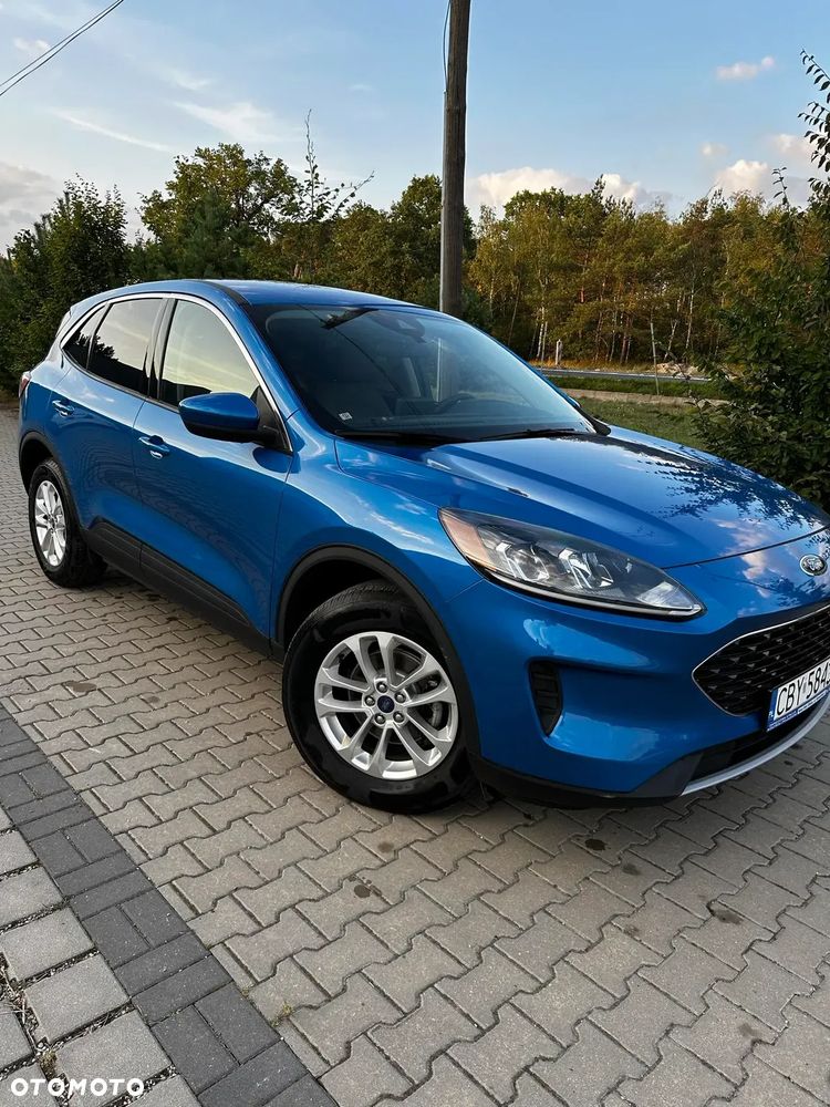 Ford Kuga 2020 photo 3