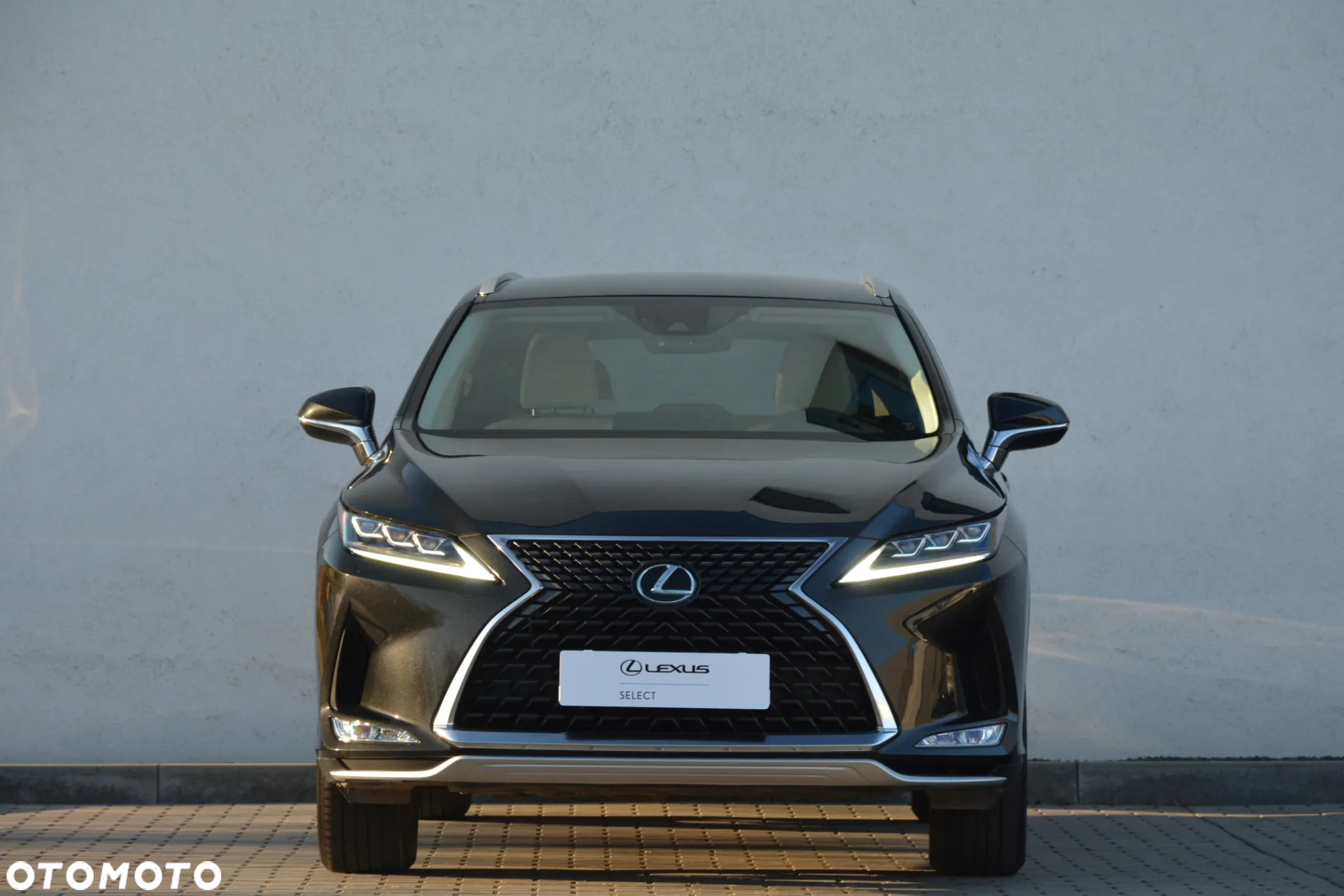 Lexus RX 300 Business Edition + - 2